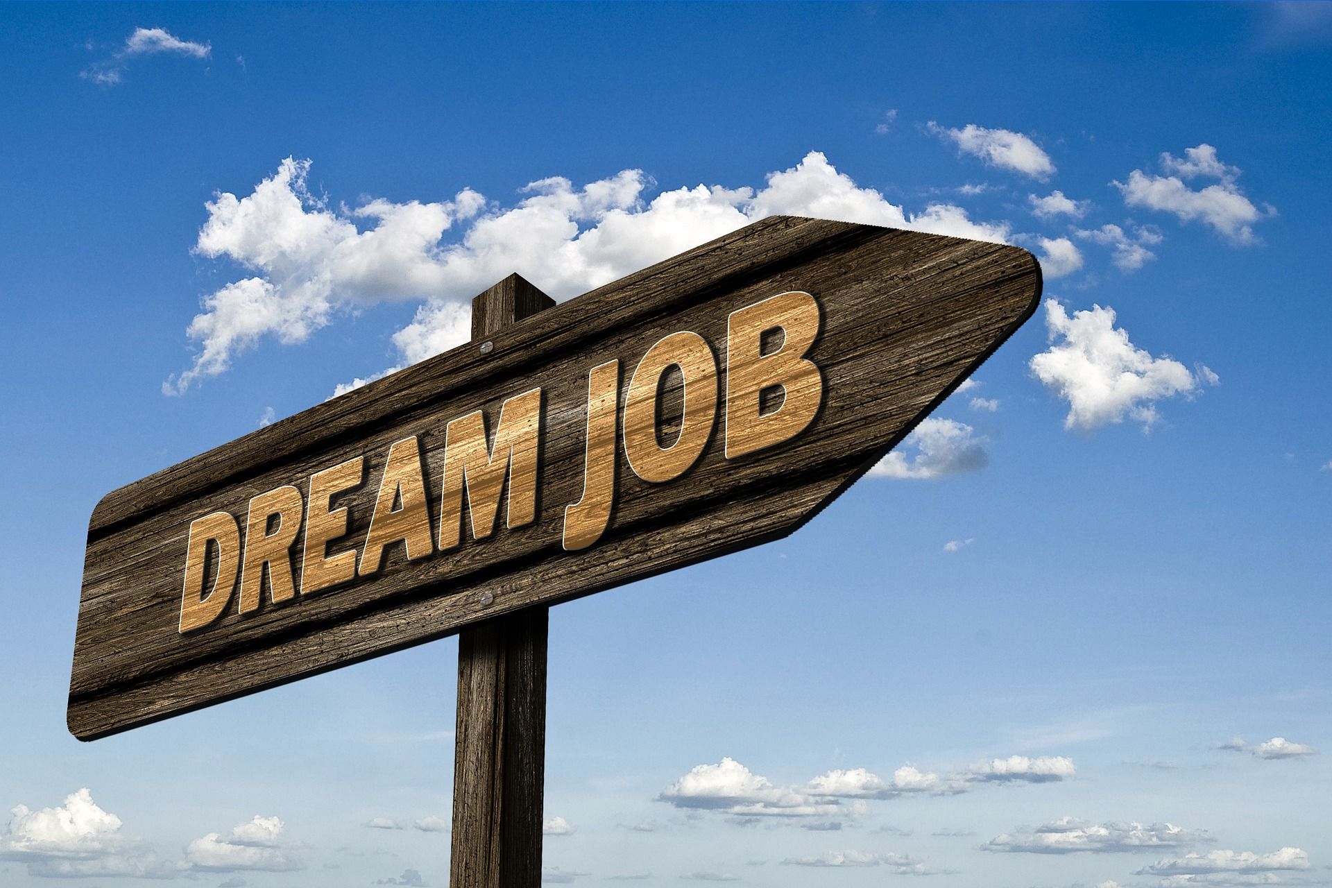 6 raisons de vous faire coacher panneau dream job