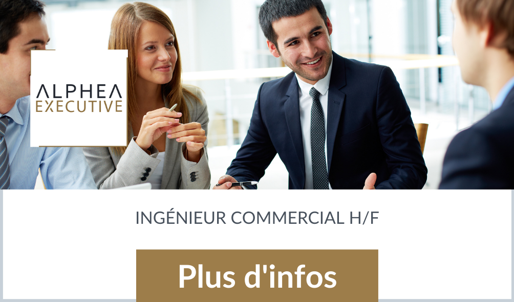 ingenieur commercial