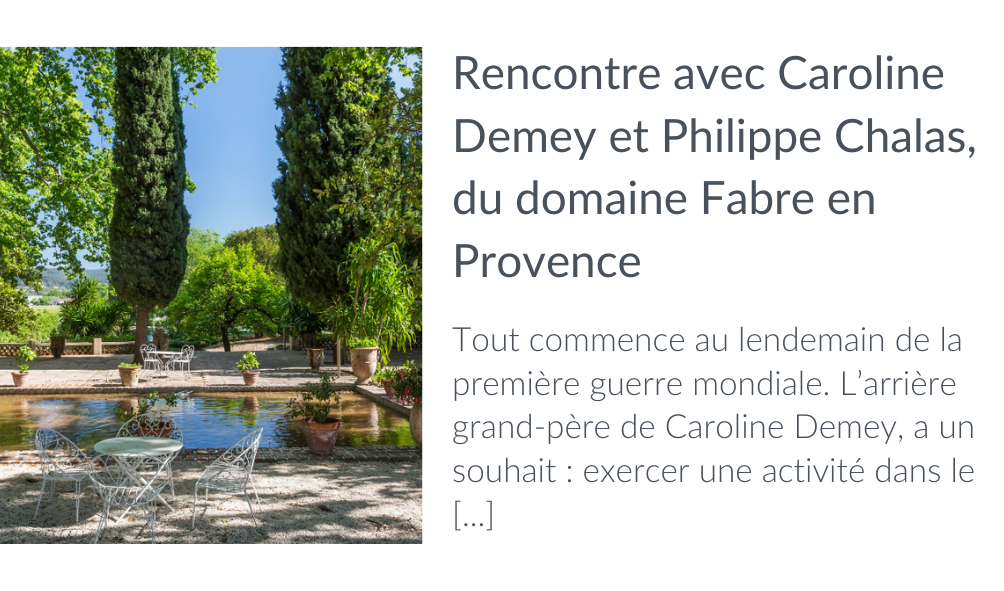 reussir entretien visio