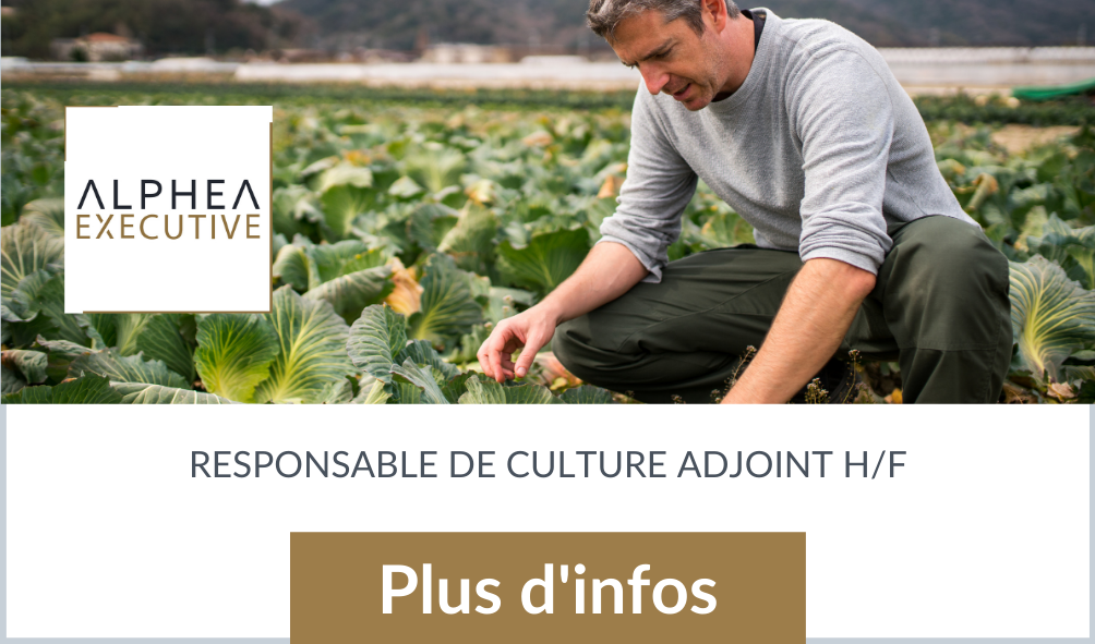 responsable de culture